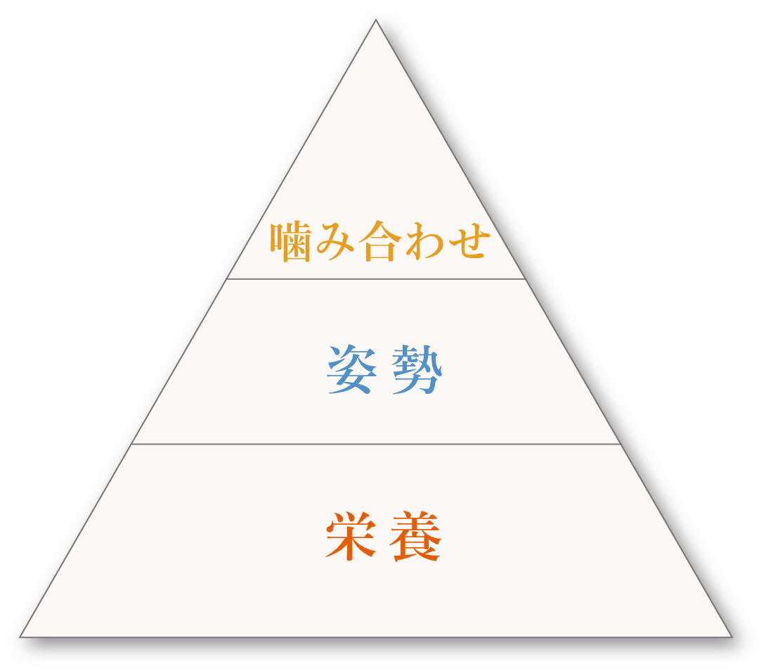 ｢栄養｣という土台の上に｢噛み合わせ｣｢姿勢｣が乗り、むし歯治療や歯周病治療はそれらの土台があってはじめて機能する